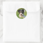 Sticker Rond Jack Russell Terrier puppy (Sac)