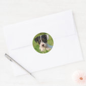 Sticker Rond Jack Russell Terrier puppy (Enveloppe)
