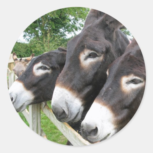 Sticker Rond J'adore les Donkeys ! (Devant)