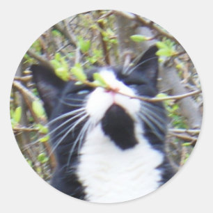 Sticker Rond J'adore l'odeur des nouveaux boutons autocollants.