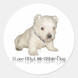 Sticker Rond J'adore mon petit chien blanc - chiot Westie