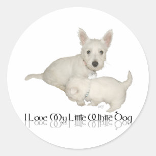 Sticker Rond J'adore mon petit chien blanc - chiots Westie !