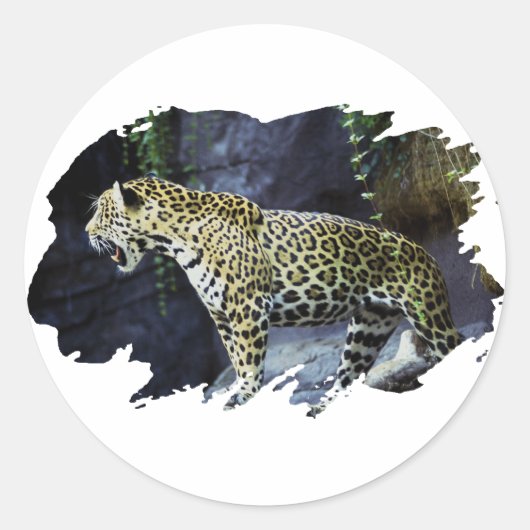 Sticker Rond Jaguar (Devant)