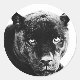 Sticker Rond Jaguar Black Panther