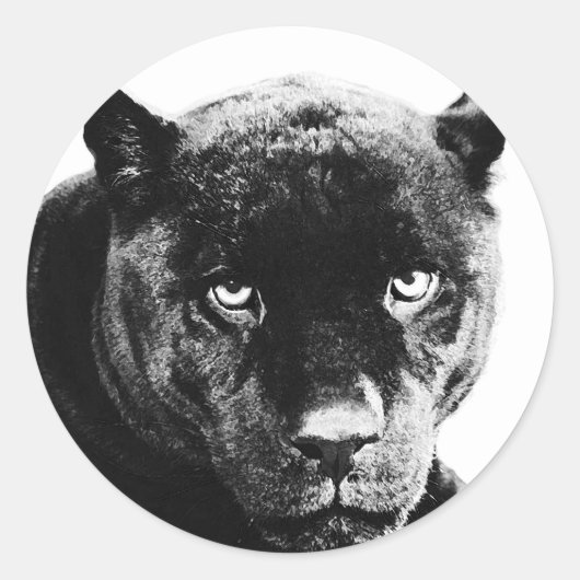 Sticker Rond Jaguar Black Panther (Devant)