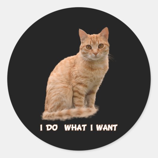 Sticker Rond J'Ai Voulu Orange Tabby Cat (Devant)