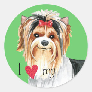 Sticker Rond J'aime ma Biewer Terrier