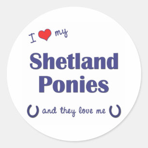 Sticker Rond J'aime mes poneys de Shetland (les poneys
