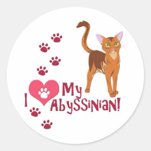 Sticker Rond J'Aime Mon Abyssinais !