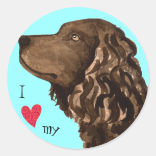Sticker Rond J'aime mon American Water Spaniel