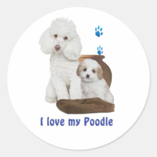 Sticker Rond J'aime mon caniche