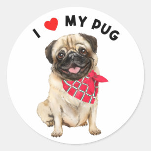 Sticker Rond J'aime mon Carlin mignon Chien de Chien de Chien d