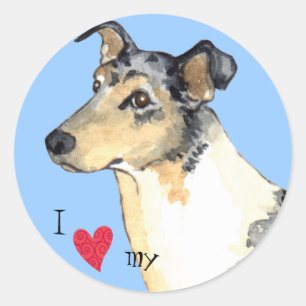 Sticker Rond J'aime mon collie lisse