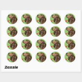 Sticker Rond J'aime mon Field Spaniel (Feuille)
