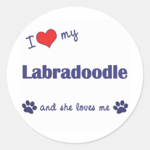Sticker Rond J'aime mon Labradoodle (le chien femelle)