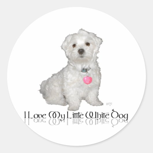 Sticker Rond J'Aime Mon Petit Chien Blanc - Maltais ! (Devant)
