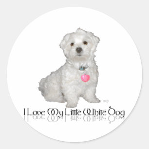 Sticker Rond J'Aime Mon Petit Chien Blanc - Maltais !
