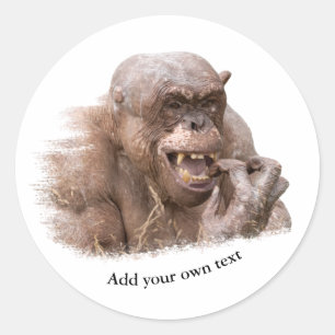 Sticker Rond Jambo The Hairless Chimp (modifier votre propre te