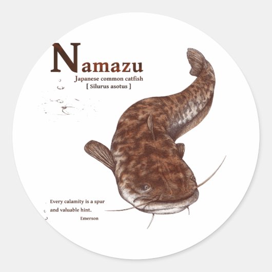 Sticker Rond Japanese common catfish - chocolate (Devant)