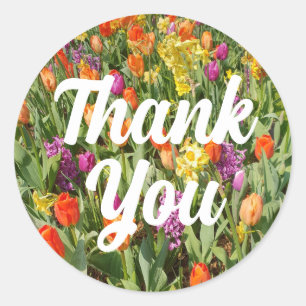 Sticker Rond Jardin de tulipes vibrantes Merci