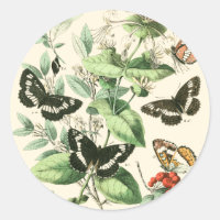 Jardin des papillons et des fleurs