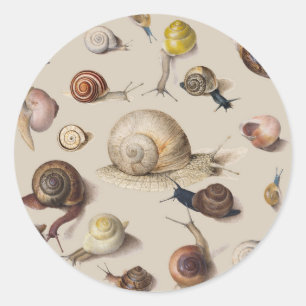 Sticker Rond Jardin d'escargots Animaux de compagnie Gastropod 