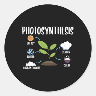 Sticker Rond Jardinage Plante Photosynthèse Houseplant