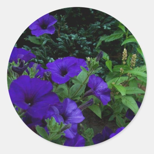 Sticker Rond Jardins d'été BC 3 (Devant)
