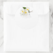Sticker Rond Jasmin Fleurs Sur Arrière - plan Blanc. Capture de (Sac)