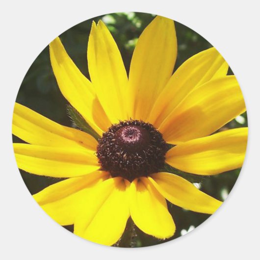 Sticker Rond Jaune (Devant)