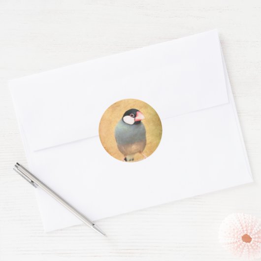 Sticker Rond Java Sparrow (Enveloppe)