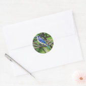 Sticker rond Jay Bleu (Enveloppe)