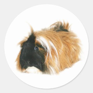 Sticker Rond Je ne suis pas un tribble
