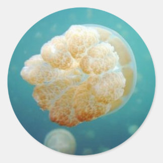 Sticker Rond Jelly