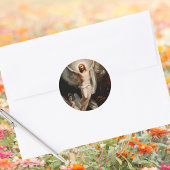 Sticker Rond Jésus-Christ catholique chrétien ressuscité Pâques