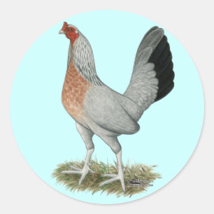 Sticker Rond Jeu de Duckwing Argent Hen