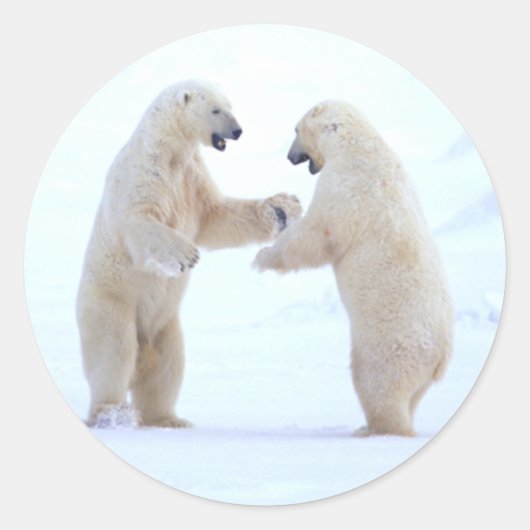 Sticker Rond Jeu d'ours polaire (Devant)