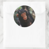 Sticker Rond Jeune Chimpanzé (Sac)