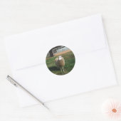 Sticker Rond Jeune mouton blanc sur la ferme (Enveloppe)