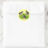 Sticker Rond Jeunes cailles de Bobwhite (Sac)