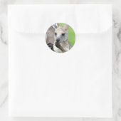 Sticker Rond Joey kangaroo mignon (Sac)