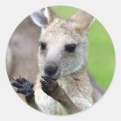 Sticker Rond Joey kangaroo mignon (Devant)