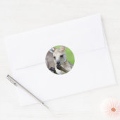 Sticker Rond Joey kangaroo mignon (Enveloppe)