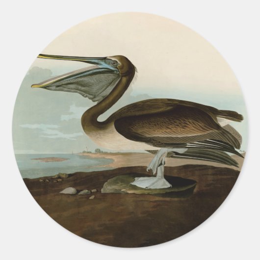 Sticker Rond John James Audubon Peinture Pélicane Brown (Devant)
