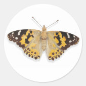 Sticker Rond Joli Aquarelle Peint Papillon-Dame (Devant)