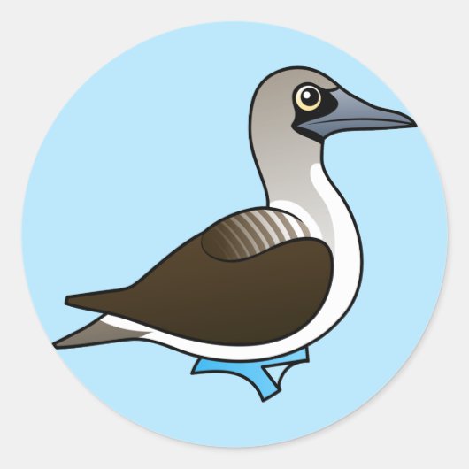 Sticker Rond Joli Booby à pieds bleus (Devant)