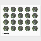 Sticker Rond Joli Bunny (Feuille)