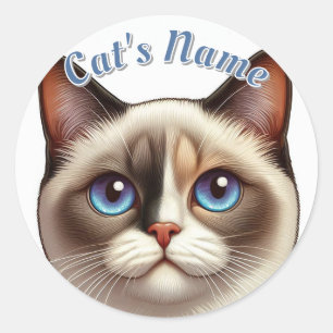 Sticker Rond Joli Calico Siamese Chat aux cheveux courts ・ Ajou