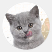 Sticker Rond Joli chat (Devant)