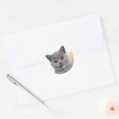 Sticker Rond Joli chat (Enveloppe)